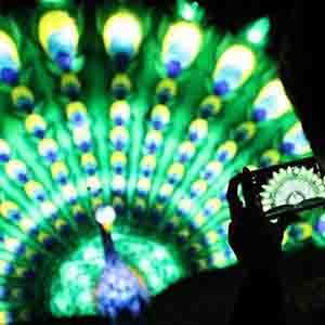 France Zoo Lighting Up Lantern Show